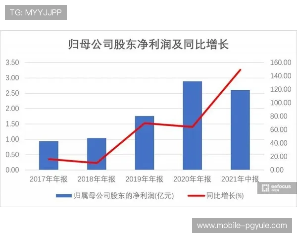 如何在PA电子全民21点中实现稳健盈利，实用技巧与策略全方位解析